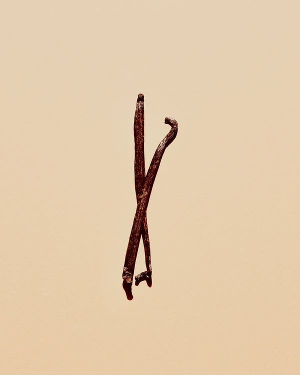 vanilla plant
